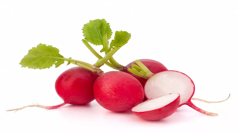 كيف يؤثر تناول الفجل على المناعة والجهاز الهضمي؟ 