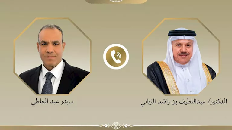 وزير الخارجية يؤكد ضرورة حماية أمن الملاحة في المنطقة