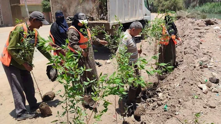 الجيزة تدشن مبادرة “ازرع شجرة” لنشر المساحات الخضراء