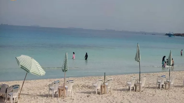 مصر – محافظ الإسكندرية يعلن عن نظام جديد لإدارة الشواطئ بالمحافظة مصر – محافظ الإسكندرية يعلن عن نظام جديد لإدارة الشواطئ بالمحافظة