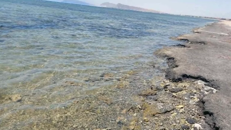 مصر – لجنة فحص التسربات النفطية على شواطئ الجبيل تنفي وجود بقع جديدة مصر – لجنة فحص التسربات النفطية على شواطئ الجبيل تنفي وجود بقع جديدة