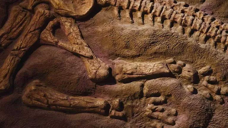 حلم وطني يتحقق في الصحراء الغربية.. قصة أول بحث مصري خالص لتوثيق ديناص