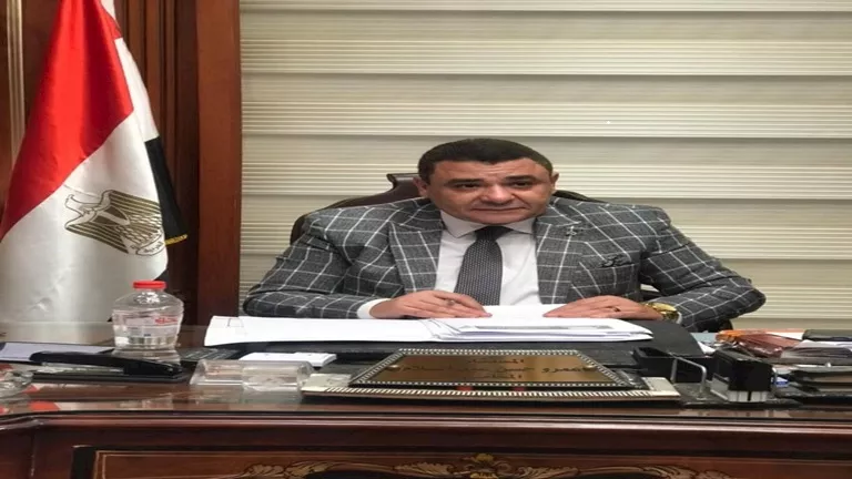 عمرو عبد السلام، المحامي