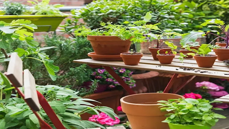 balcony-garden-1646838058_11zon