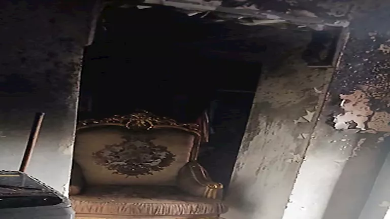 صورة الخبر