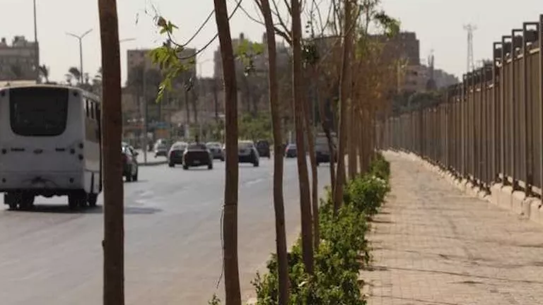 صورة الخبر