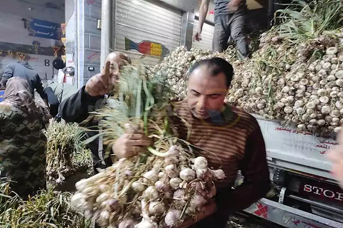 إقبال على شراء الثوم
