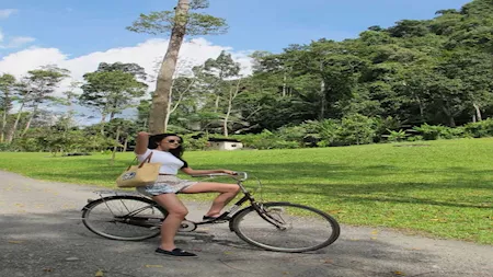 أوبال سوشاتا