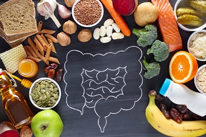 أطعمة مفيدة للأمعاء