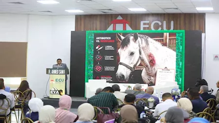 "الصحة العالمية" تعترف بجامعة العلمين كأول جامعة معززة للصحة في مصر وإفريقيا