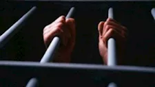قرار جديد في محاكمة 213 متهمًا بقضية خلية النزهة