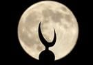 مواقيت الصلاة يوم الإثنين 22 من رمضان 2024