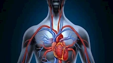 3 أعراض خفية قد تشير إلى ضعف الدورة الدموية.. لا تتجاهلها