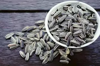 ماذا يفعل الإفراط في اللب المملح بالكبد والقلب والكلى؟