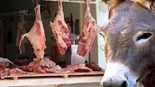 اكتشاف لحوم خيول وحمير في منتجات غذائية شهيرة بتركيا.. ما القصة؟