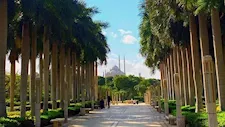 قبل عيد الأضحى.. دليلك لأفضل أماكن الخروج والفسح في القاهرة