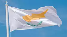 كارثة في قبرص.. مقتل شخصين وإجلاء مئات السكان جراء حرائق الغابات(فيديو)