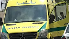 صدمة في قرية الشوامي بالدقهلية بعد مصرع أب وأبنائه الثلاثة إثر حادث تصادم