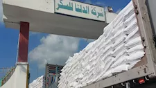 المواد الغذائية: تصدير فائض السكر لا يؤثر على الأسعار ولكن يحمي الصناعة المحلية