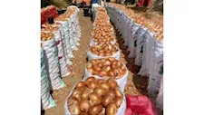 قفزة في أسعار البصل في الأسواق.. والشعبة توضح الأسباب وموعد الانخفاض