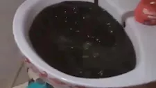 فيديو صادم.. مياه سوداء تخرج من حنفية منزل بالبحيرة