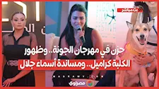 حزن في مهرجان الجونة.. وظهور الكلبة كراميل.. ومساندة أسماء جلال.. ملخص
