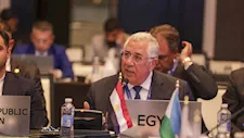 مبنخترعش العجلة.. رئيس "زراعة النواب": هناك قوانين دولية تحكم التعامل مع ظاهرة الكلاب الضالة