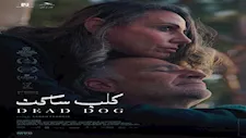 إطلاق البوستر الرسمي لفيلم "كلب ساكن" قبل عرضه بالقاهرة السينمائي