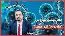 هل وصل فيروس "ماربورج" إلى مصر؟