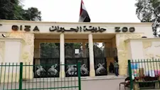 جامعة حلوان: تشكيل لجنة استشارية لترميم الجداريات الأثرية بسور حديقة الحيوان