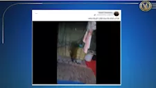 الداخلية توضح ملابسات فيديو تهديد سيدة والتعدي على أسرتها بالبحر الأحمر