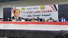 رضا عبد السلام يتصدر.. الحصر العددي لانتخابات المنصورة بالدقهلية