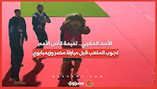 الأسد المغربي.. تميمة كأس الأمم تجوب الملعب قبل مباراة مصر وزيمبابوي