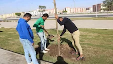 صور.. انطلاق المرحلة الرابعة من مبادرة "100 مليون شجرة" بالسويس