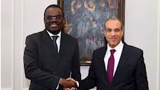 وزير الخارجية يؤكد دعم مصر لتعزيز منظومة الصحة والأمن الدوائي في أفريقيا
