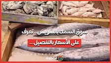 سوق السمك بالسويس.. تعرف على الأسعار بالتفصيل...