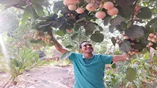 فاكهة الأغنياء.. مهندس يكشف سر زراعة "الكافيار": الكيلو بـ 3500 جنيه