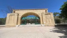 تسللت من سوق الجمعة.. 4 قرود هاربة وسط المقابر بالإسكندرية