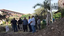 رئيس جامعة بنها يزرع 1000 شتلة زيتون بكلية الزراعة بمشتهر