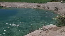 الإسماعيلية: إغلاق مزرعة سمكية مخالفة بمركز القصاصين (صور)