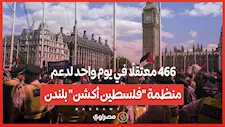 466 معتقلًا في يوم واحد لدعم منظمة "فلسطين أكشن" بلندن.. ما القصة؟