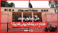 متى سيكون موعد افتتاح حديقة الحيوان بالجيزة؟