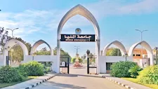 جامعة المنيا تبدأ برنامجي الذكاء الاصطناعي والأمن السيبراني العام المقبل