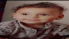  "بسبب حمار".. مصرع طفل في المنوفية