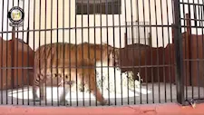 حدث منتصف الليل| وزير الزراعة يكشف ملامح تطوير حديقة الحيوان.. وحقيقة وقوع حادث مروري بطريق مصر الإسكندرية  