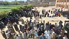 عُرس ديمقراطي في سوهاج.. زحام وإقبال لافت في انتخابات الشيوخ- فيديو وصور