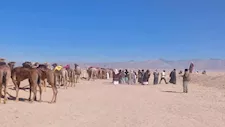 رياضة الهجن.. تراث بدوي يعانق السياحة والاقتصاد في سيناء (صور)