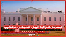ترامب يغيّر ملامح البيت الأبيض: بلاط بدلا من حديقة الورود