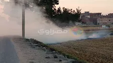 التنمية المحلية والبيئة: جمع 242 ألف طن من قش الأرز خلال سبتمبر