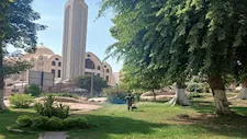محافظ القاهرة يكشف لمصراوي تفاصيل زراعة مليون شجرة ونبتة لـ"تشجير القاهرة"